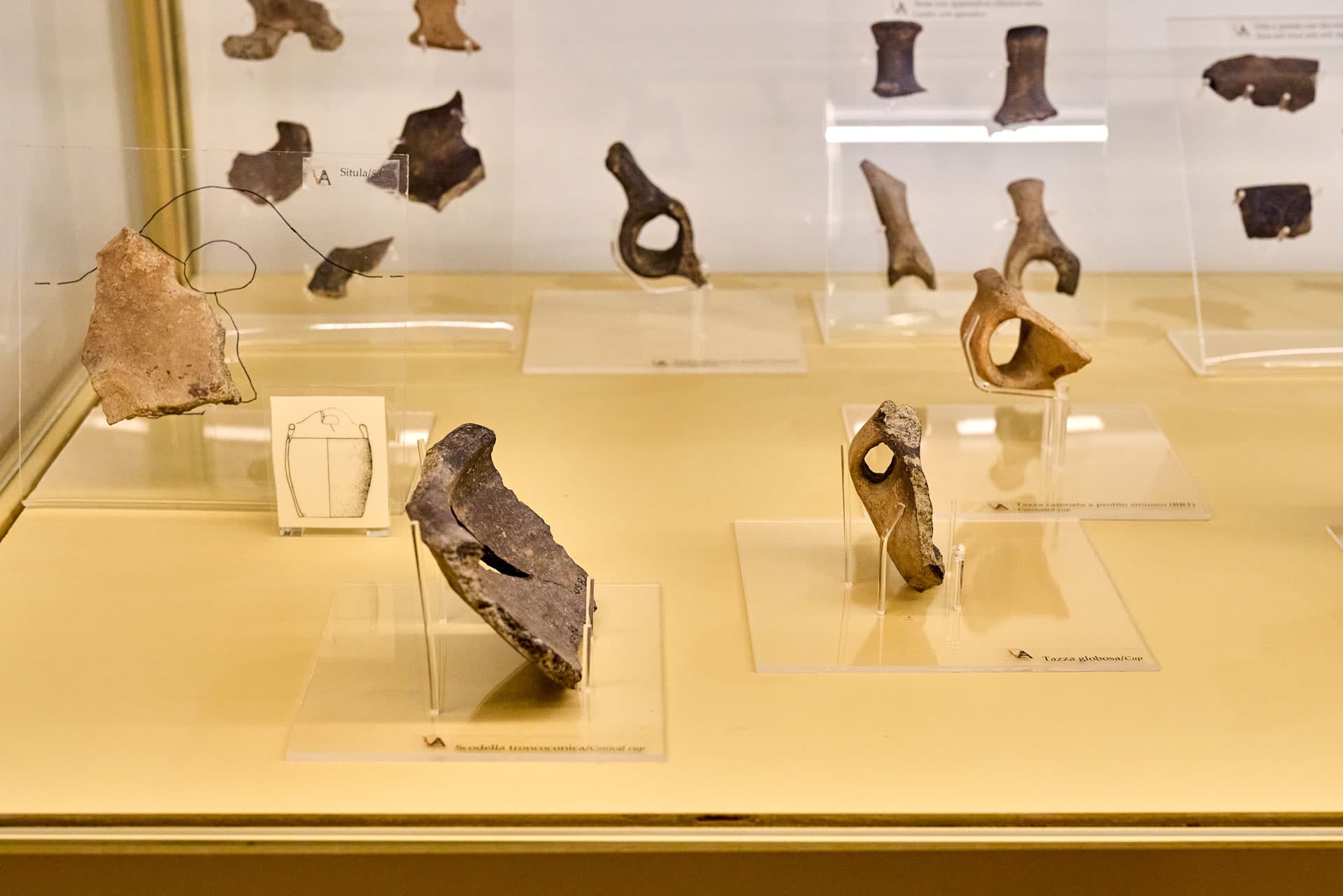 descrizione immagine